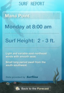 Hawaii Gude Me: Surf