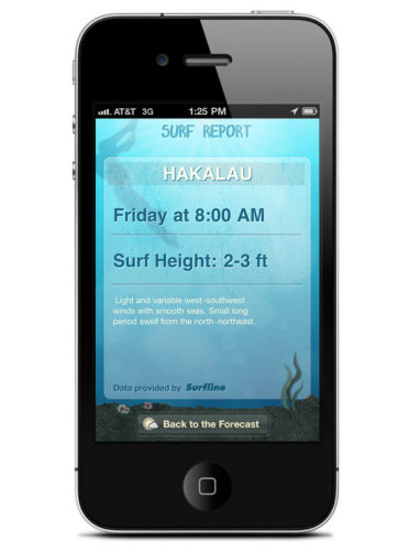 Hawaii Gude Me: Surf